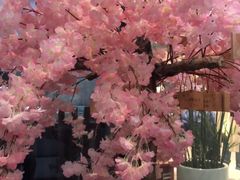 -無邪日式甜品(世博源店)