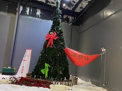 -宁波冰雪大世界(北仑区)