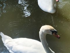 -呀诺达热带雨林
