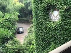 -龙天小镇