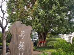 -鲤鱼洲酒店港鲤咖啡厅