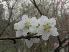 -白塘生态植物园