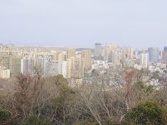 -赭山公园
