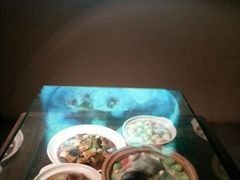 android_upload_pic-中国湿地博物馆