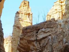 -元谋土林景区(物茂土林)
