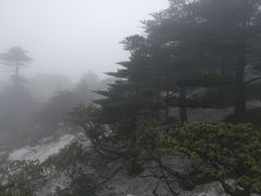 -苍山感通索道