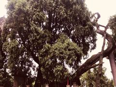 -七曲山风景区