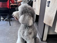 -沏点Trattoria意大利餐厅(新街口店)