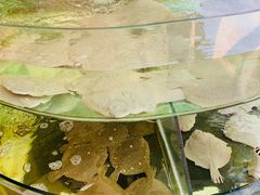 -四海鲜渔家菜(黄金海岸店)