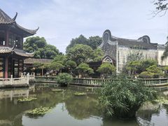 -碧江金楼