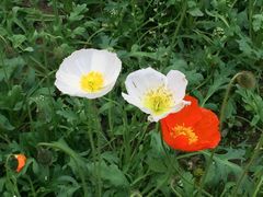 -白鹭湾湿地公园