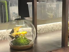 -芸山季·云南山珍菌火锅(人民广场来福士店)