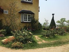 -黄色小屋