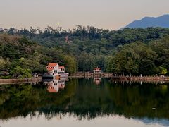 -深圳仙湖植物园