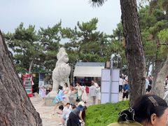 -养马岛旅游度假区