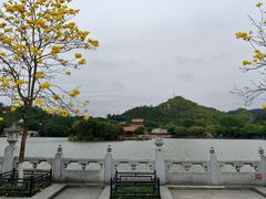 -珠海圆明新园