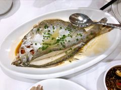 清蒸海鲈鱼-京粤荟(海王银河科技大厦店)