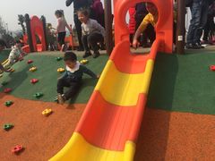 -枫香湖儿童公园