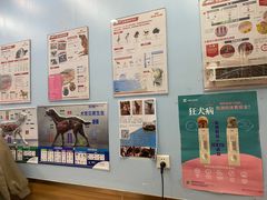 -萌兽医馆·眼科·异宠专科(三里屯店)