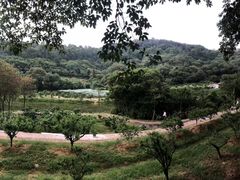 -南国桃园旅游度假区