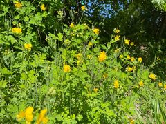 -玉渡山自然风景区