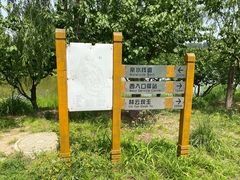 -东郊湿地公园