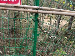 -青龙山国家森林公园