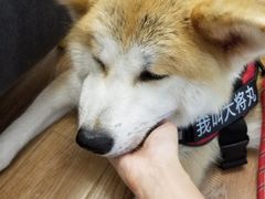 -YCHL Studios健身工作室(市二宫店)