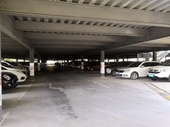 -上海植物园·停车场