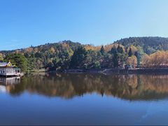 -庐山风景区花径公园