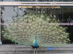 -西昌邛海宾馆