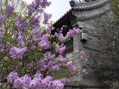 -莲池书院博物馆