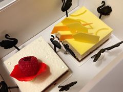 -BLACKSWAN黑天鹅(新希望店)