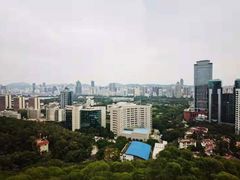 -仙岳公园