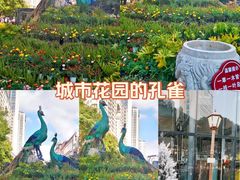 -南屏步行街