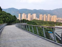 -牛岗山公园