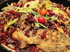 -老板恋上鱼(恒隆广场店)