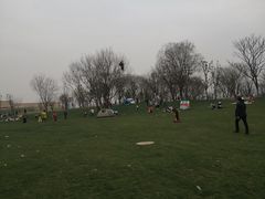 -盘龙城国家考古遗址公园