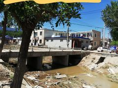 -苏家坨柳林村二月兰花海