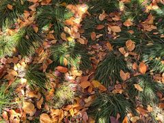 -元大都城垣遗址公园