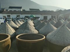 -苏州市吴中区光福窑上花果蜜饯厂