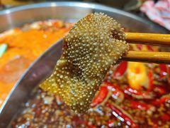 稻田毛肚-渝味晓宇火锅(合川路店)