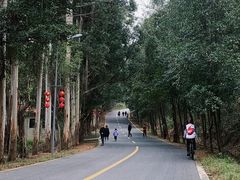 -清远鱼水旅游风景度假区