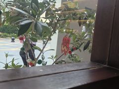 -Café Monson
