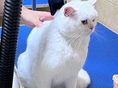 -佳雯宠物医院·皮肤科·内外科(春晓路分院)