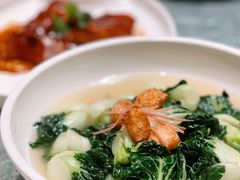 蝌蚪白菜-金悦轩海鲜城(渔人码头店)