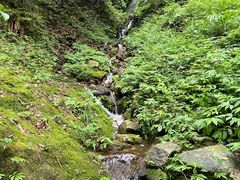 -西岭雪山大飞水景区