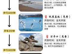 -巧克力渔家.小船海鲜胶东菜(万平口店)