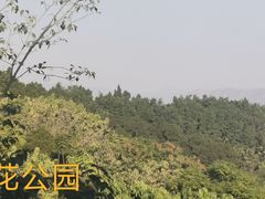 -攀枝花公园