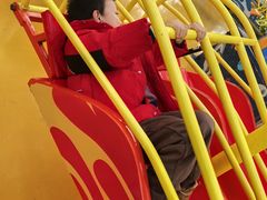 -南宫五洲植物乐园